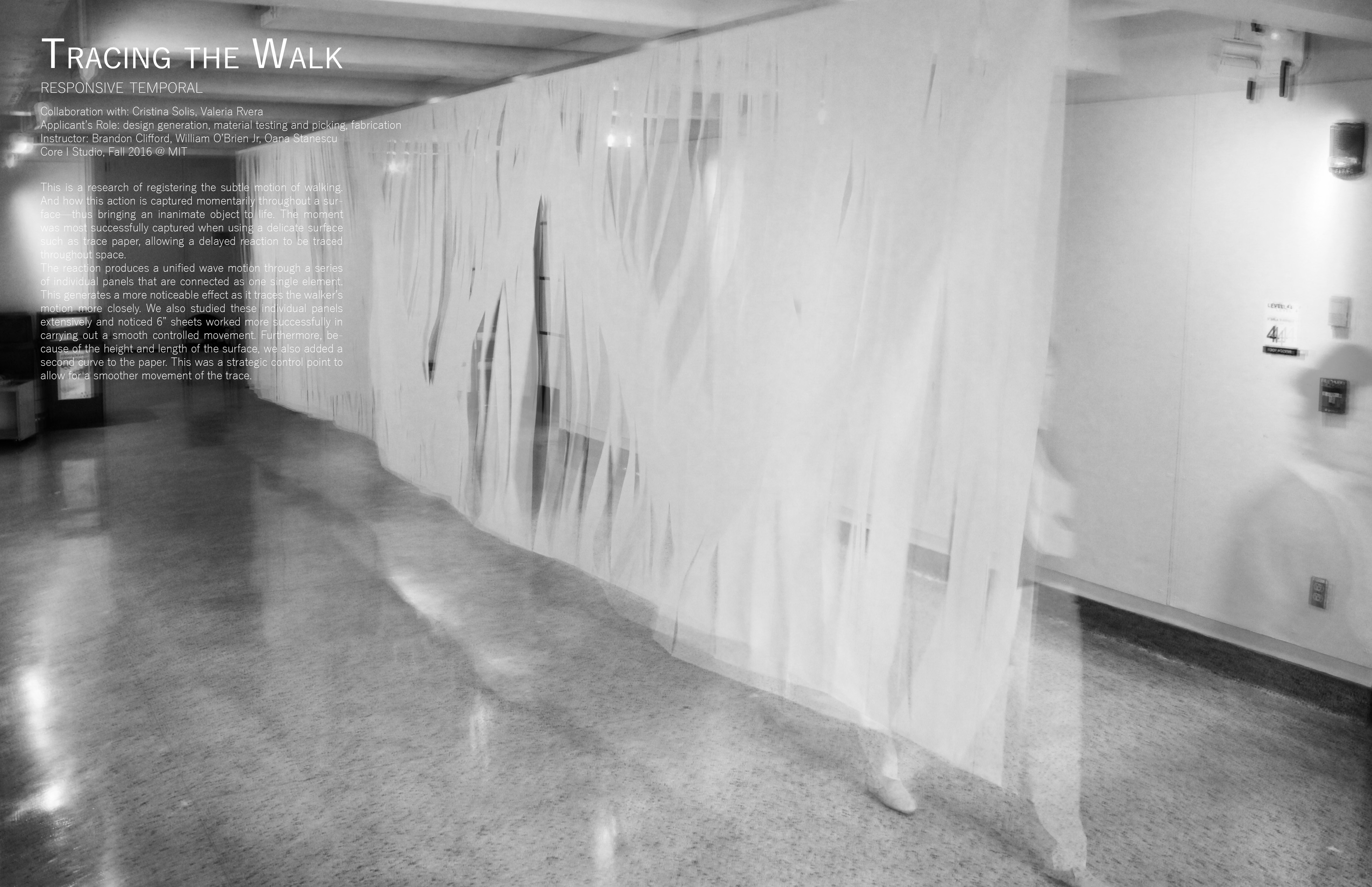 Tracing the Walk