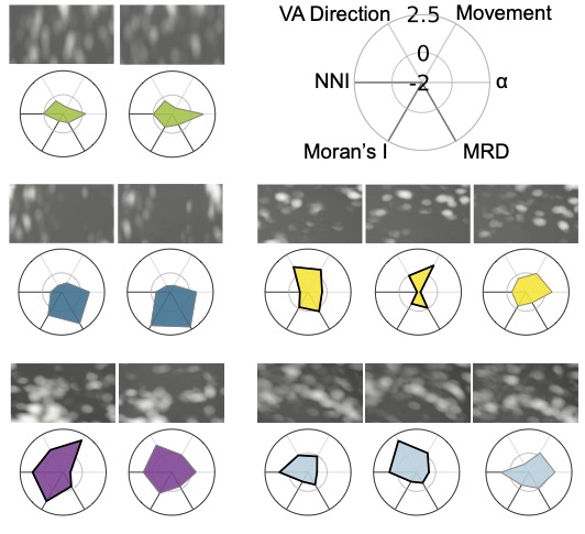 Komorebi Dynamics Publication